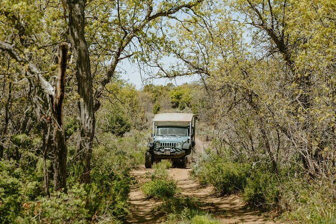 East Zion Brushy Cove Jeep Tour - Final Thoughts