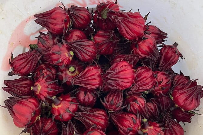 Edible Hibiscus Guided Farm Tour (Big Island) - The Sum Up