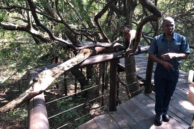 Elephant & Monkey Sanctuary Tour from Johannesburg - FAQ