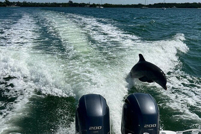 Enticement Charters Snorkel, Shelling in St. Petersburg, FL 3 Hrs - Final Thoughts