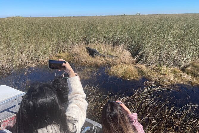Everglades Airboat, Wildlife Show and free Photo - Who Will Love This Tour?