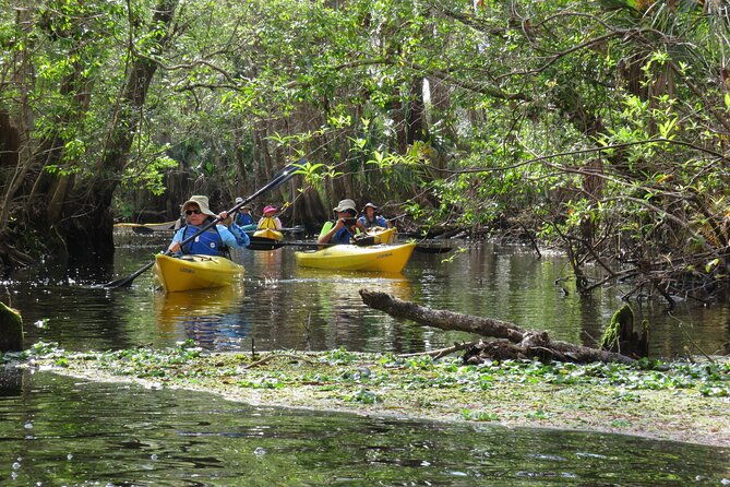 Exclusive Nature Escape Kayak Adventure on Blackwater Creek - The Bottom Line: Who Should Consider This Tour