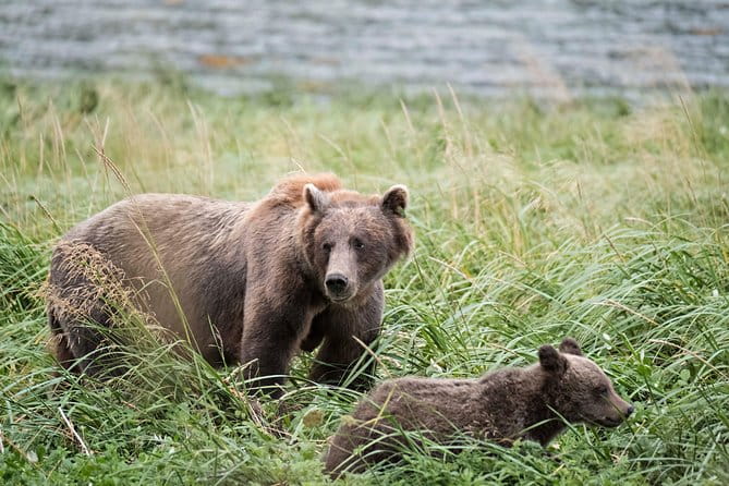 Exclusive Photography Tour Haines Departure - FAQ