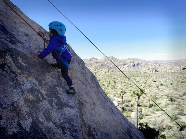 Family Rock Climbing Trips in Joshua Tree National Park (4 Hours) - Final Thoughts