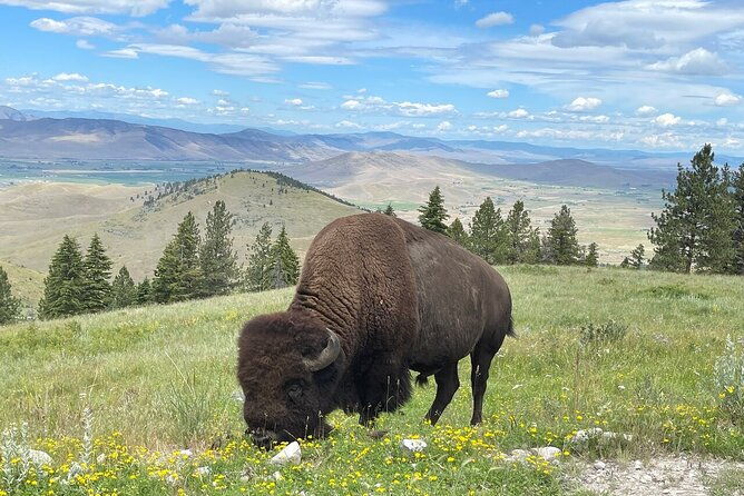 Flathead Lake & Bison Range Scenic Driving Tour - Final Thoughts