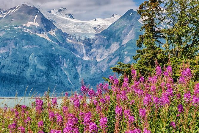 Focus on Haines Private Nature / Photography tour - FAQ