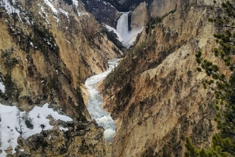 From Jackson: Yellowstone National Park Day Trip with Lunch - Price and Value