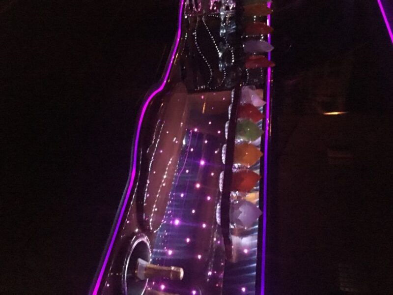 From Manhattan: Private Brooklyn Christmas Tour by Limousine - The Experience in Practice