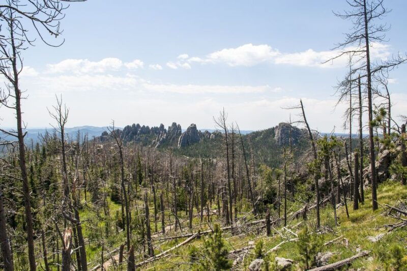 From Rapid City: Custer State Park Private Safari and Hiking - Lunch and downtime: Historic lodges and flexible options