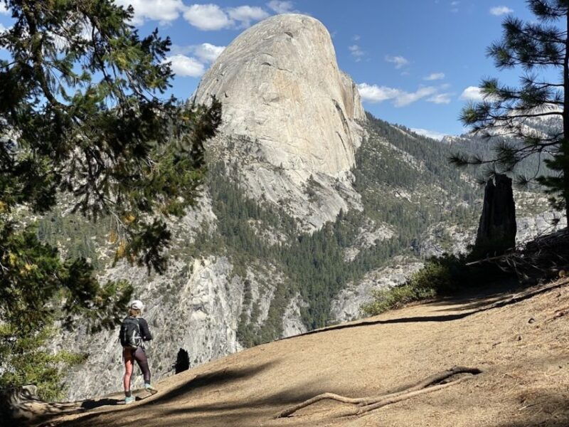 From Vegas: Yellowstone, Yosemite, and Rockies 11-Day Tour - Who Will Love This Tour