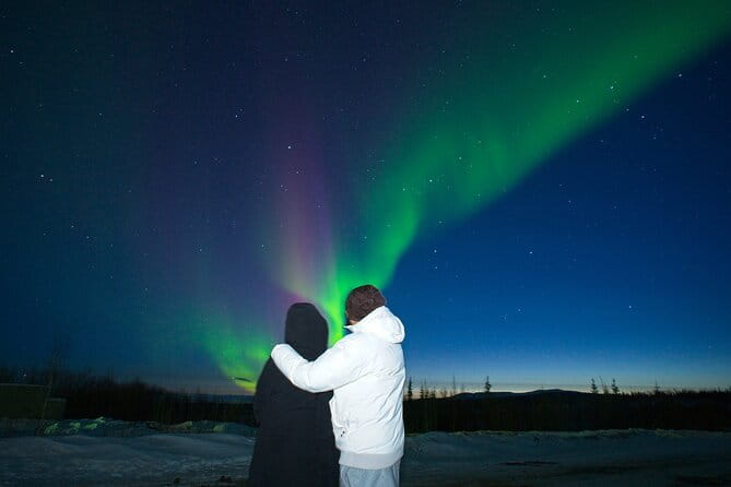 Full Day Arctic Circle Tour - Final Words