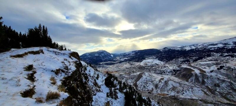 Gardiner: Yellowstone National Park Wildlife Guided Tour - Practical Details and Considerations