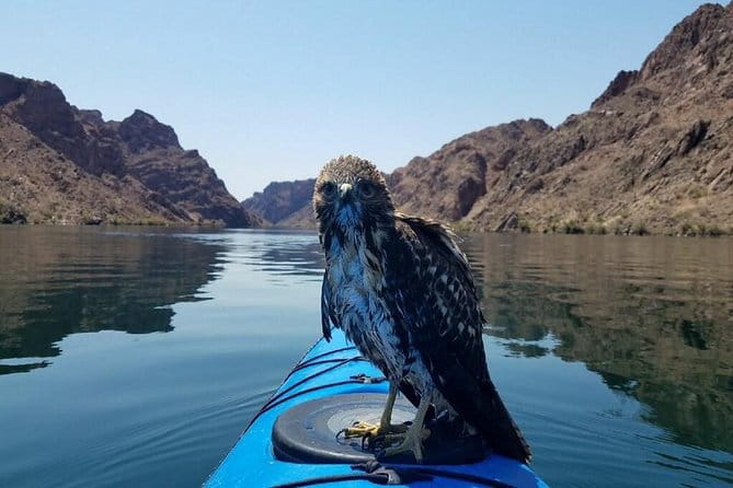 Grand Canyon Helicopter Flight with Emerald Cave Kayak Tour - Final Thoughts: Is This Tour Right for You?