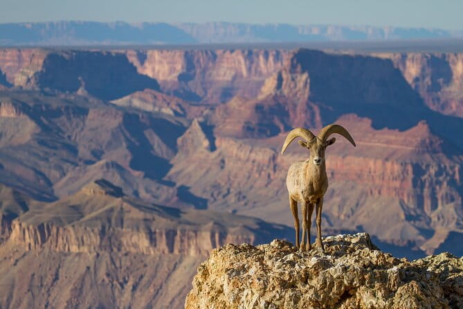 Grand Canyon South & East Rim Self-Driving, Walking & Shuttling Tour - Additional Stops and Cultural Insights