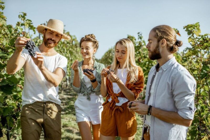 Grape Escapes Full-Day Wine Tour in Ithaca - Practical Details and Tips