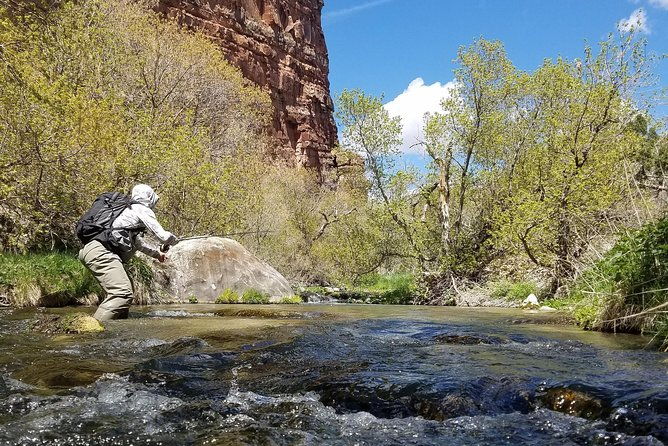Guided Fly Fishing Experience in Park City - Who Should Consider This Tour?