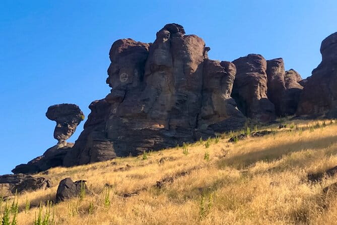 Guided Half-Day Scenic Tour - Off The Beaten Path - Frequently Asked Questions