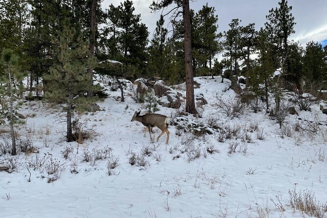 Guided Hiking Tours near Fort Collins - Practical Tips for Your Hike