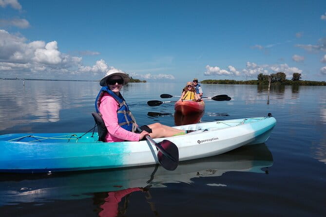 Guided Kayak Tour with Manatee & Dolphin Sightings - The Sum Up: Is It Worth It?
