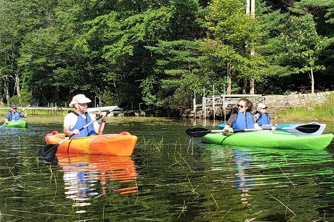 Half Day Kayak Rental on Sebago Lake - The Pros and Cons