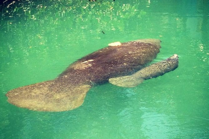 Half Day Private Boat Tour - Authentic Perspectives from Travelers