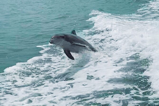 Half-Day Private Boating On Blue Hurricane - Clearwater Beach - Who Will Love This Tour