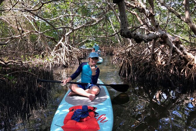 Half Day Rental to John's Pass Sandbar & Mangrove Tunnel - Practical Tips for a Great Experience