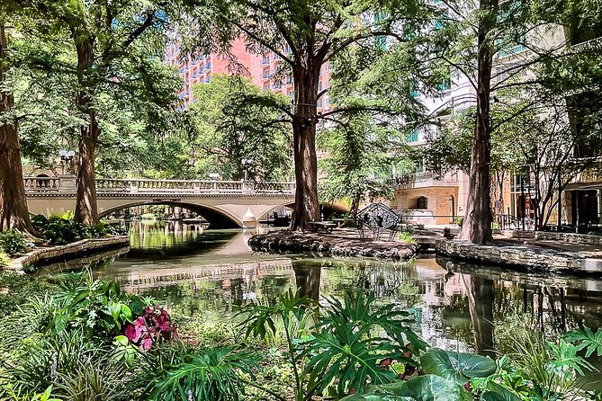Half-Day San Antonio and Alamo Guided Walking Tour - Final Thoughts