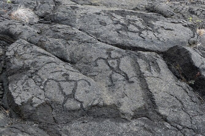 Hawaii Volcanoes National Park Self-Guided Driving Audio Tour - Who Will Love This Tour?