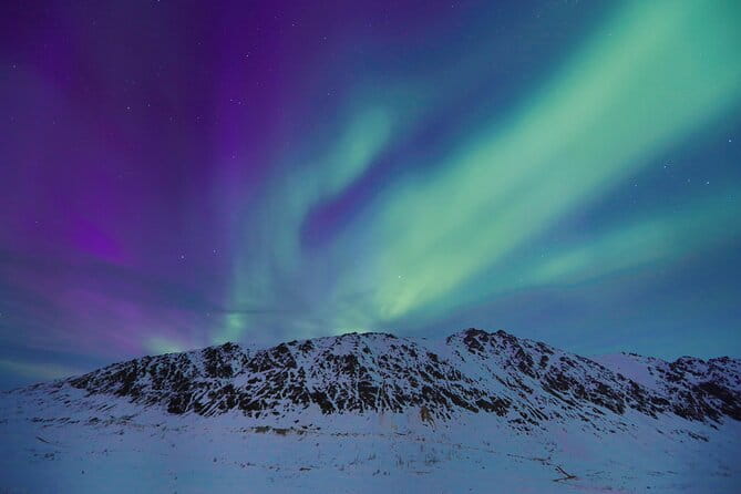 Heated and Enclosed ATV Tour in Alaska. Open All Year Round - Who Should Consider This Tour?