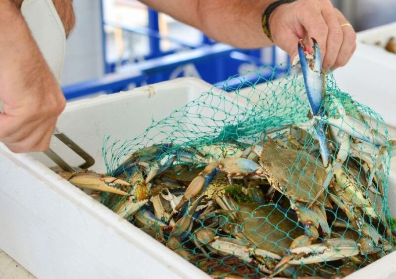 Hilton Head Island: Crabbing Expedition Boat Tour - Analyzing the Cost and Value