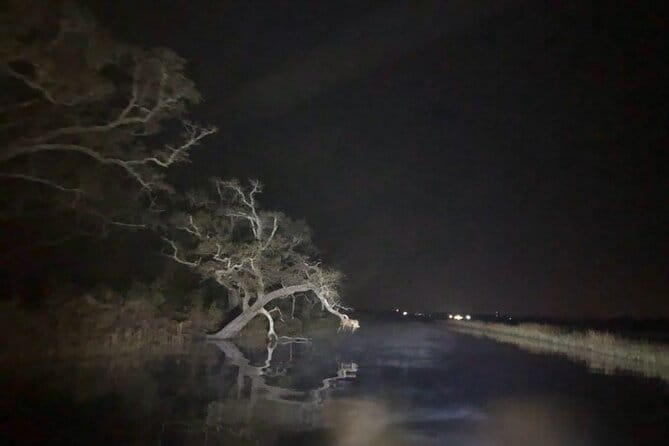 Historical Haunted Bayou Cruise - Final Thoughts