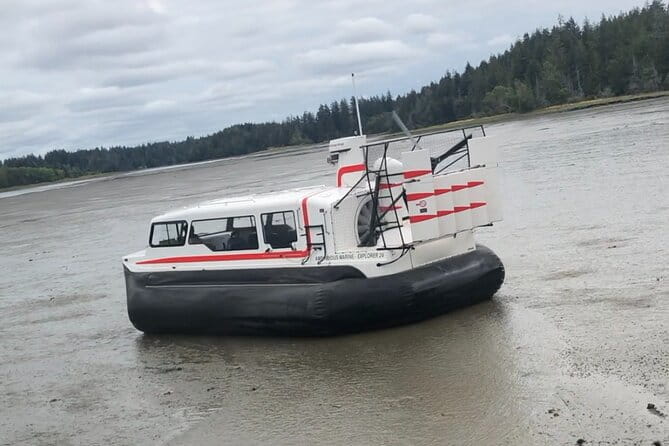 Hover Craft Scenic Tour in Talkeetna, Alaska - Authentic Experiences and Guest Feedback