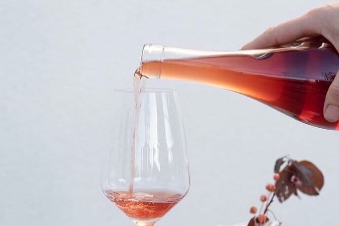 Intro to Wine Tasting with Napa Sommelière - The Real Value of This Tour