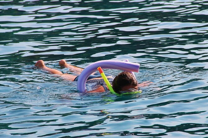 Islamorada: Snorkel adventure & Sandbar Trip - Who Is This Tour Best For?