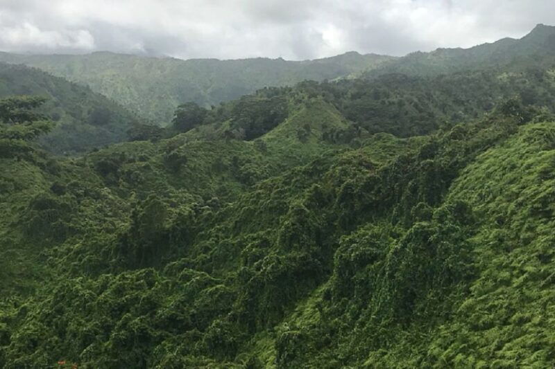 Kauai: Half-Day Kauai Adventure - Practical Details and Tips