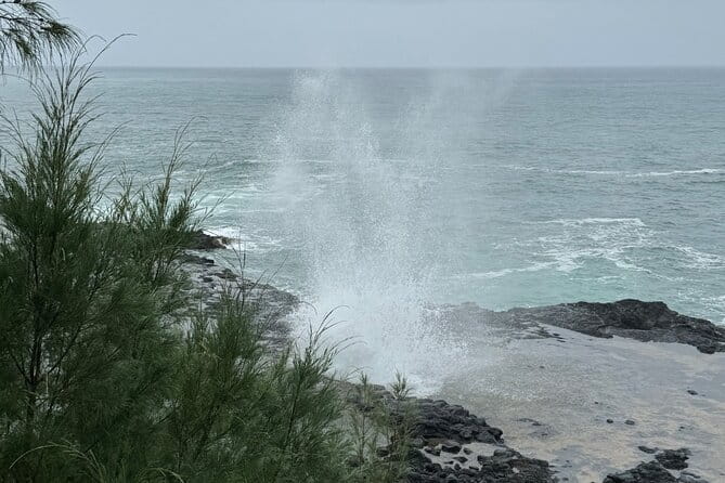 Kauai Shore Excursion - Waimea Canyon Adventure Tour - Nawiliwili - The Experience of Travel with This Tour