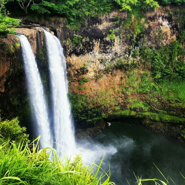 Kauai: Waimea Canyon & Kokee State Park Private Tour - Who Will Love This Tour?