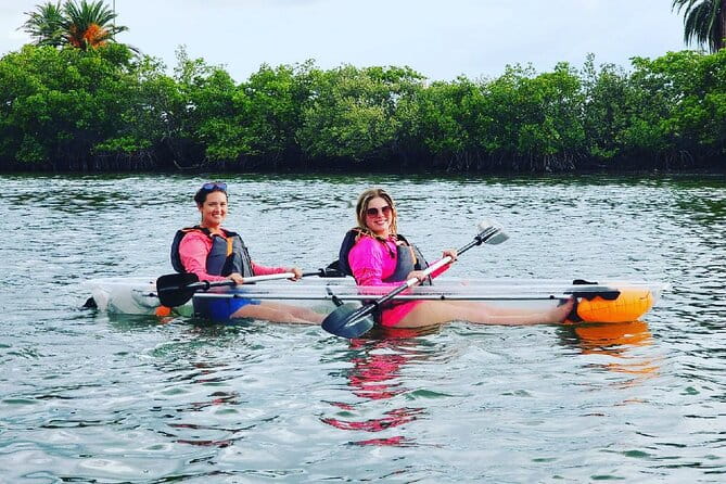 Kayaking Clear through Clearwater - The Practicalities: Price, Duration, and Booking