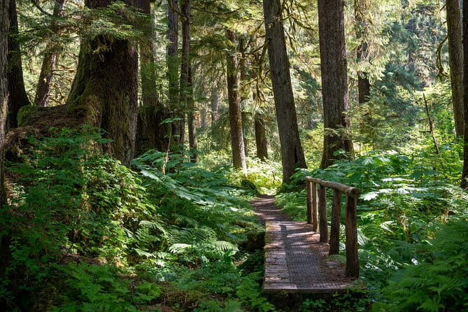 Ketchikan Magical Old-Growth Creek Trek Guided Tour - Frequently Asked Questions