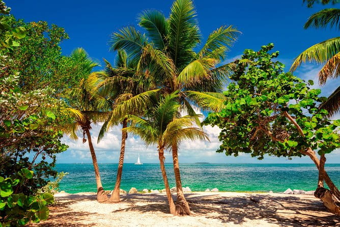 Key West Day Trip from Miami with Activities - Final Thoughts