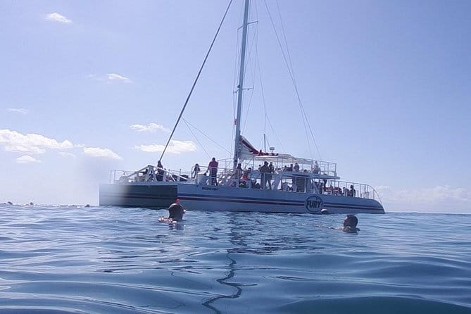 Key West Reef Snorkel – Morning Mimosas or Afternoon Margaritas - What the Reviews Say