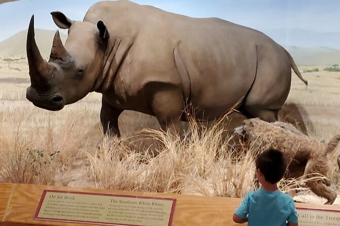 Las Vegas Natural History Museum Admission Ticket - Why This Museum Can Be a Great Addition to Your Trip