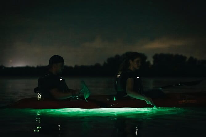 LED Bio Comb Jelly Clear Bottom Kayak or Paddleboard Tour! - Final Thoughts: Is This Tour Right for You?