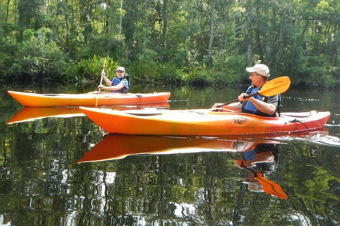 Lofton Creek Kayaking Trip with Professional Guide - Final Thoughts: Is This Kayaking Trip Worth It?