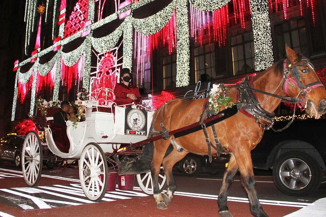 Magical Evening Horse-Drawn Carriage through NYC (65 min) - Who Will Love This Experience?