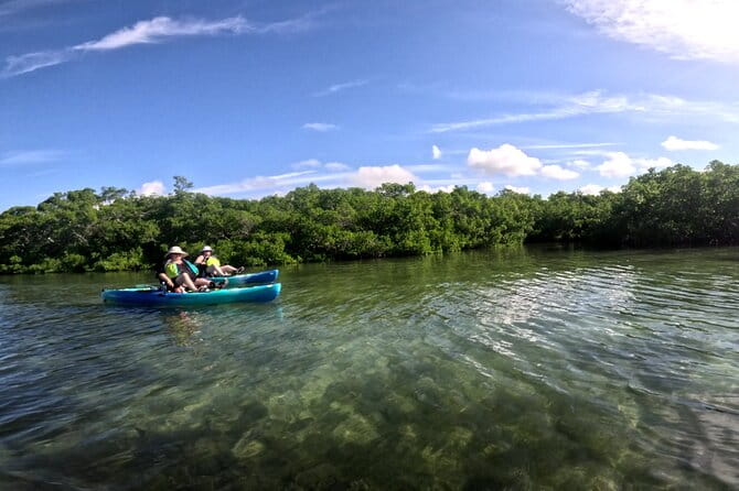 Mangrove Tunnels Pedal Kayak Eco-Tour in Anna Maria - Final Thoughts