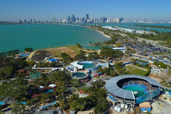 Miami Downtown Airplane Tour with Free drinks - Who Will Love This Tour?