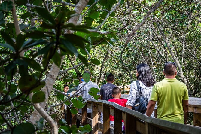 MIAMI: Everglades Airboat, Wildlife Gator Show and Photo - FAQ