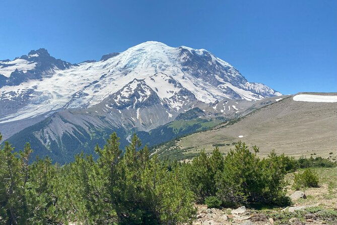Mount Rainier Day Hike - Who Should Consider This Tour
